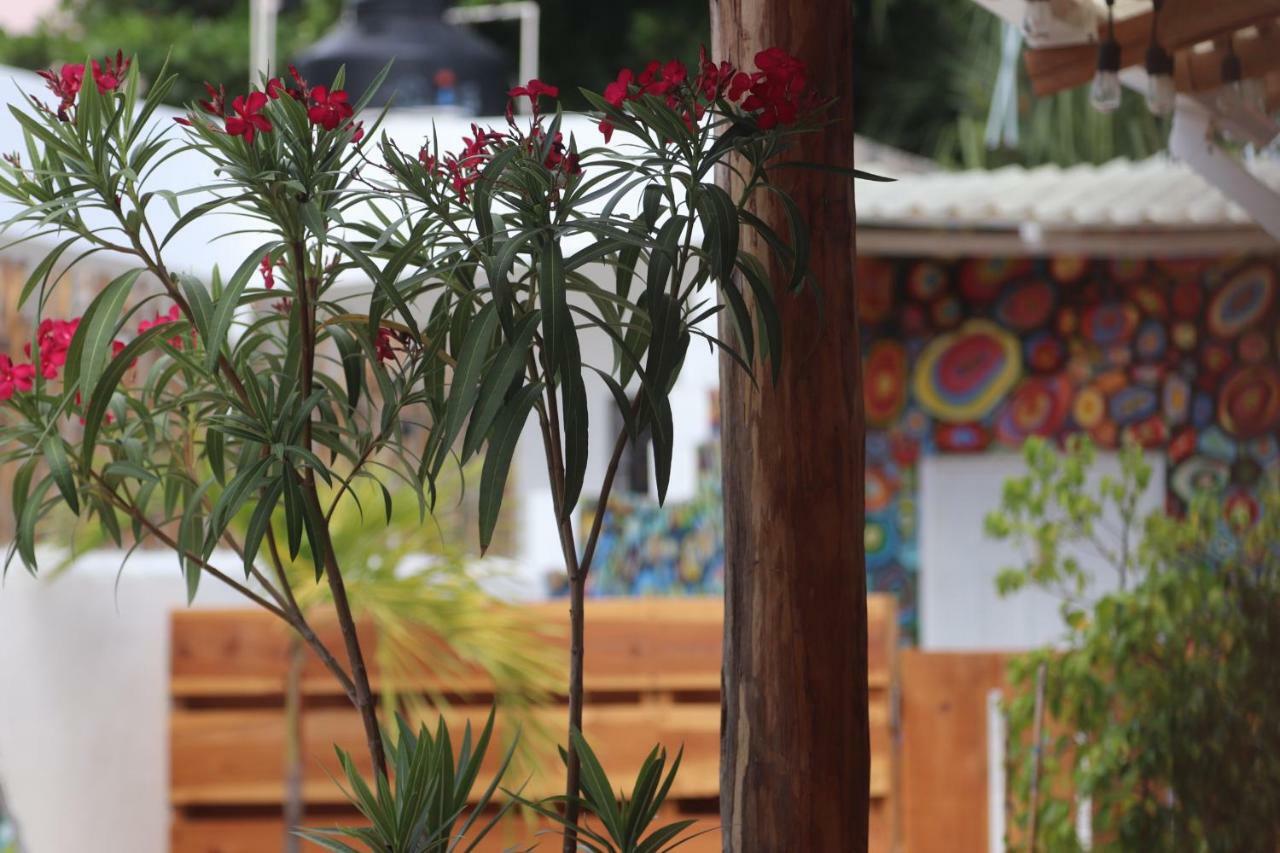 Wabi Hostel Playa del Carmen Exteriér fotografie